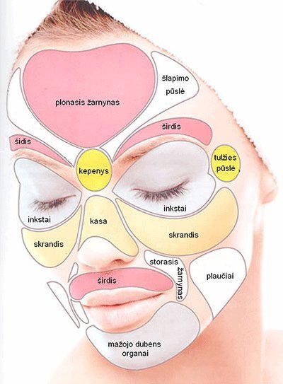 Ligų veido sritys  